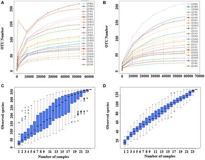 Response of microbial communities in the phyllosphere ecosystem of tobacco exposed to the broad-spectrum copper hydroxide